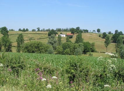Hervé en Aubel