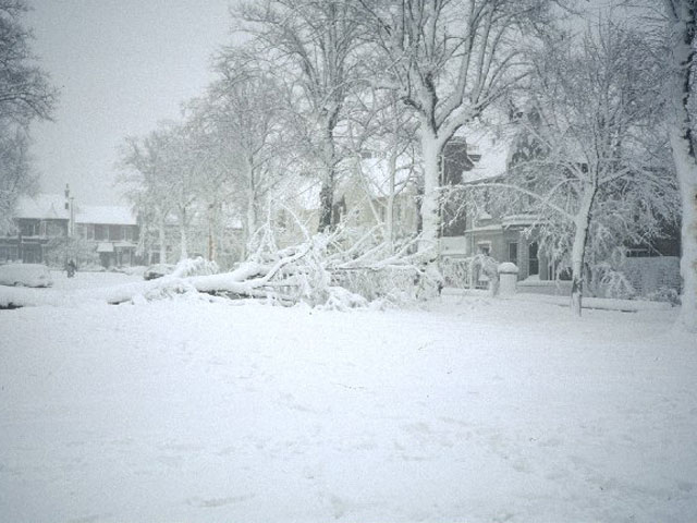 winters landschap