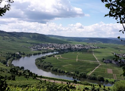 Uitzicht op Trittenheim