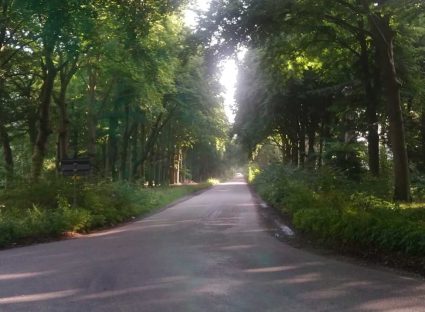 Tijdens de Hel van de Heuvelrug