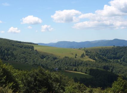 Uitzicht in de Vogezen