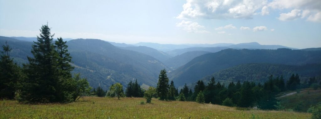 Uitzicht vanaf de Feldberg